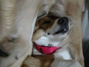 1380945865-2450807720