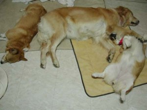 1380945865-4285370676