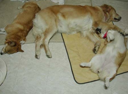 1380945865-4285370676