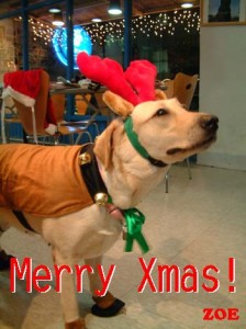 1380945866-2583769830