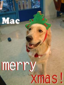 1380945866-2877864410