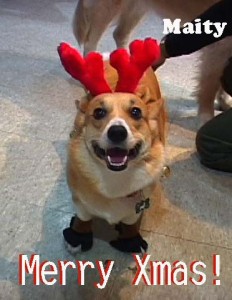 1380945867-1729101406