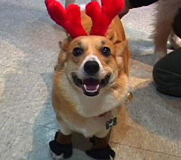 1380945867-1729101406