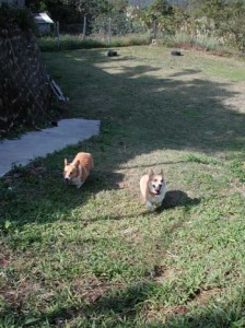 1380945868-769406587