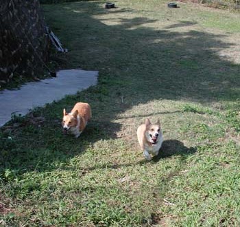 1380945868-769406587