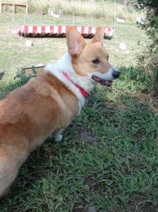 1380945869-2888503836