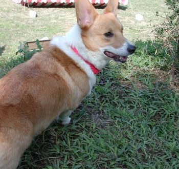 1380945869-2888503836