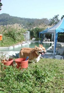 1380945869-3718207685