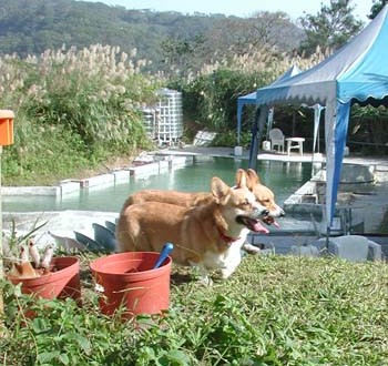 1380945869-3718207685