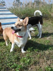 1380945870-1640953823