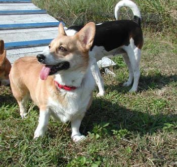 1380945870-1640953823