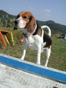 1380945870-708663381