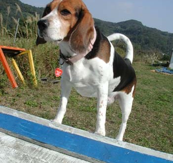 1380945870-708663381