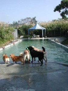 1380945871-1079659211