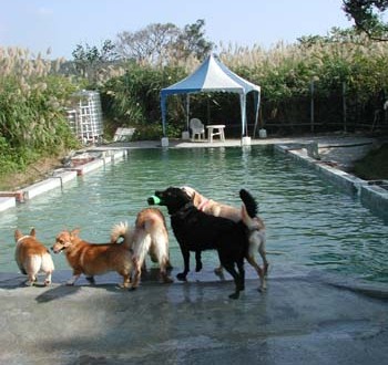 1380945871-1079659211