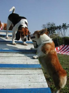 1380945871-1300907837