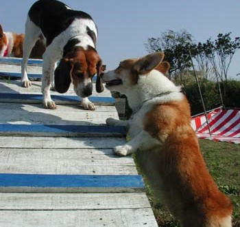 1380945871-1300907837