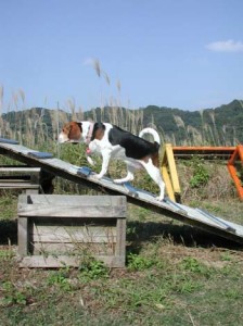 1380945871-2163553884