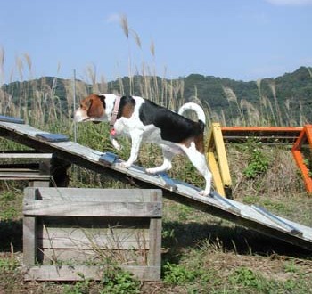 1380945871-2163553884