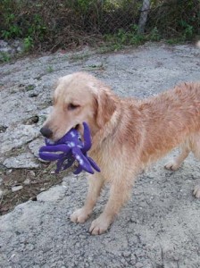 1380945872-1820389437