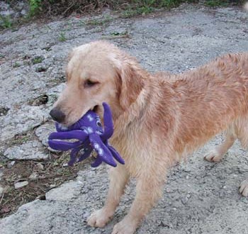 1380945872-1820389437