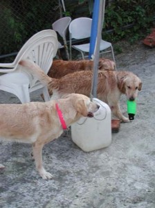 1380945872-4214737187