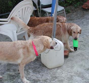 1380945872-4214737187