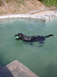 1380945873-332813453