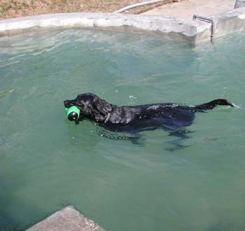 1380945873-332813453