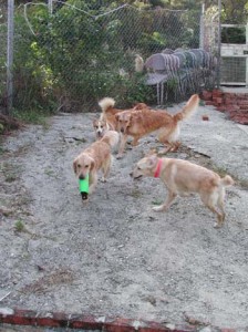 1380945873-824473028