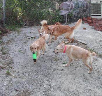 1380945873-824473028