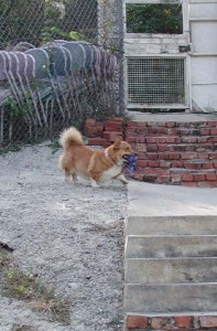 1380945874-3064335378