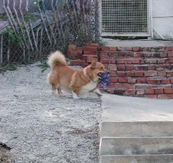 1380945874-3064335378