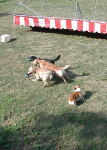 1380945874-3851934649