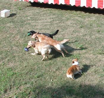 1380945874-3851934649