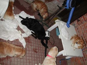 1380945875-1082607784