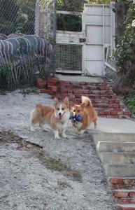 1380945875-1819530818