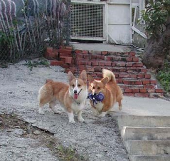 1380945875-1819530818