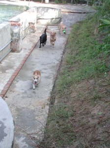 1380945875-2677547076