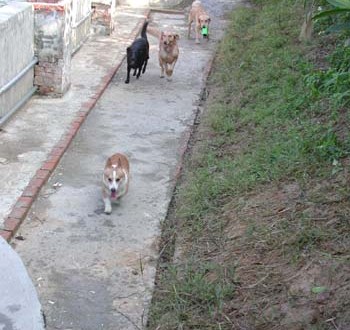 1380945875-2677547076