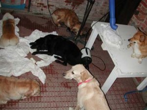 1380945876-2805555664