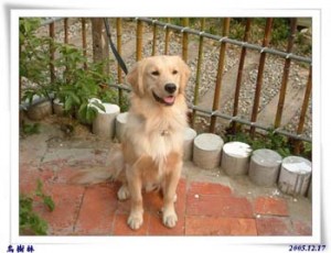 1380945877-3347669907