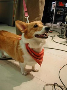 1380945884-2319940703