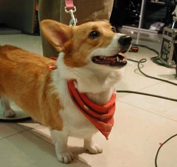 1380945884-2319940703