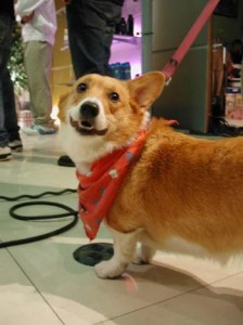 1380945884-3159272278