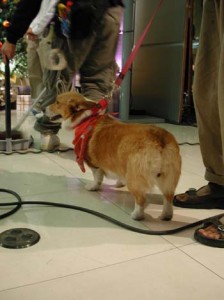 1380945885-1980331145