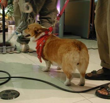 1380945885-1980331145