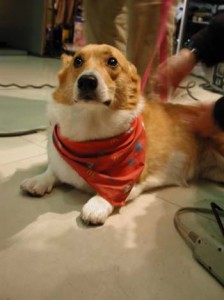 1380945887-2629193869