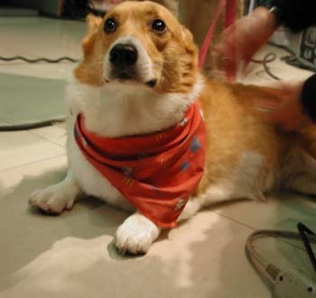 1380945887-2629193869