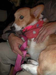 1380945887-959768582